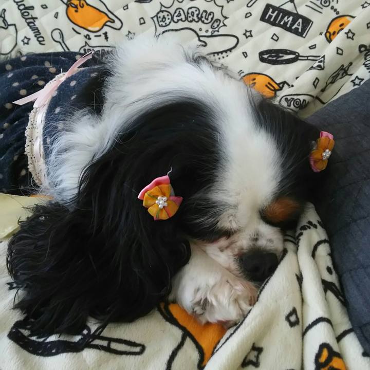 342becf1 0eb6 44ca a68a ddfdf9f24297