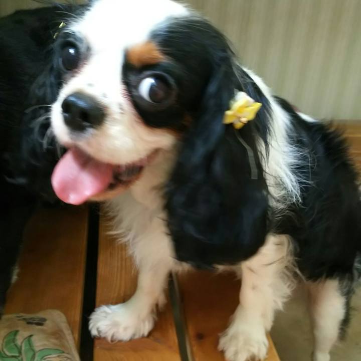 342cb255 ecd4 4018 874c fe6aff7494e9