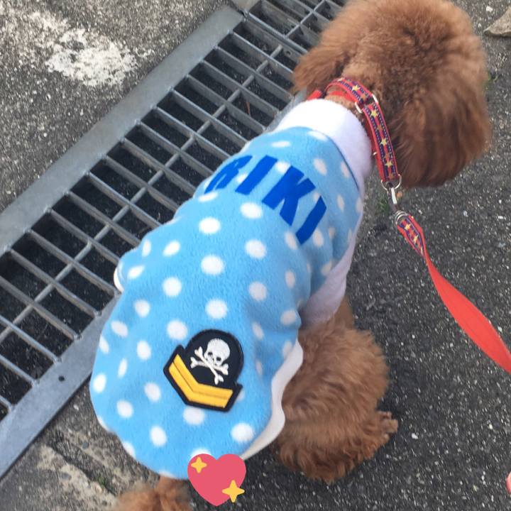 342d8909 e0f4 479b a11e fd811d0f299b