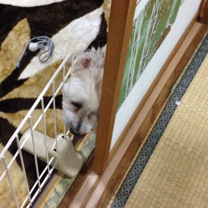 342de2be 6022 40ba 88d6 429e28457b07