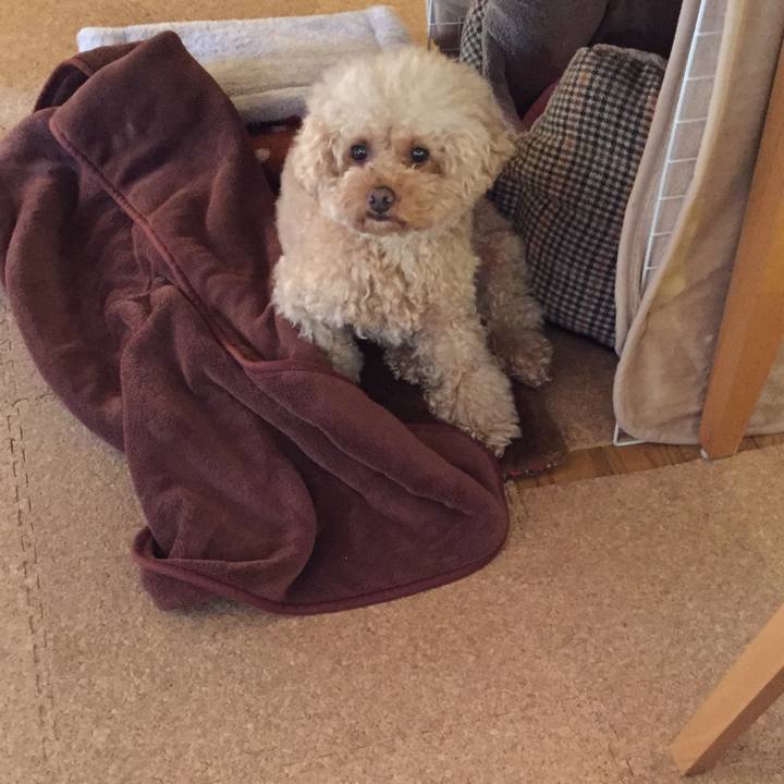 342e2f2d 381a 4a81 9401 583712ed6264