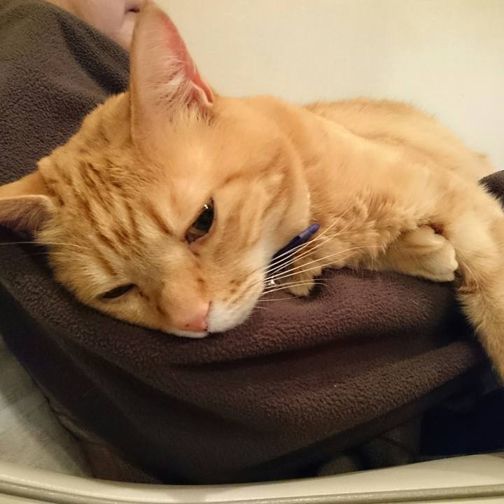 342f19d2 9444 46e9 8954 17804dfa56ba