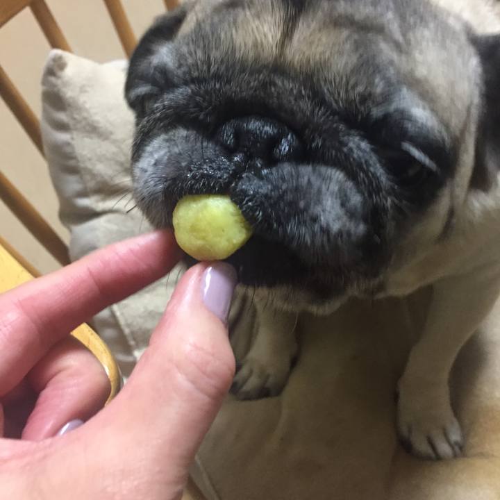 342fa486 6adc 4f9a 8a3e 53bc945159ed