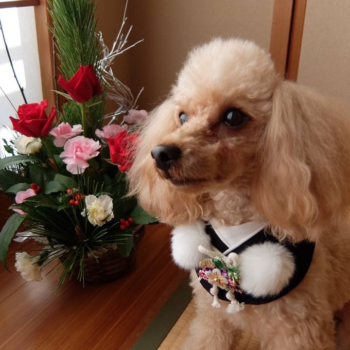 342fb536 a264 4d02 8864 3e26a9786d01