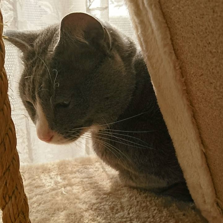 342fd6e0 5293 4e33 89c3 a35355bd631a