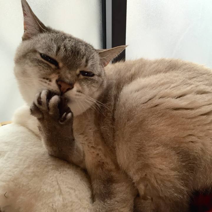 34301bbf 37c8 4ad1 8dc9 9d75dda5f794