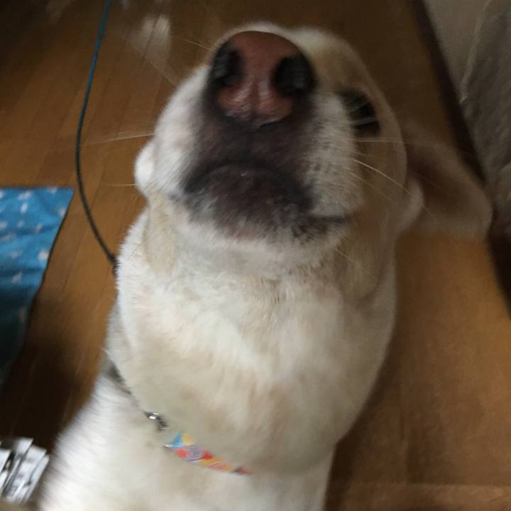 343038c6 23a1 4bc1 92d1 f513f6f0baa5