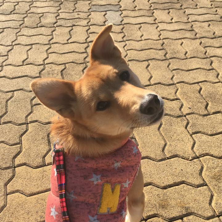 3430b391 5e8e 4b1f beae 460e596601fb