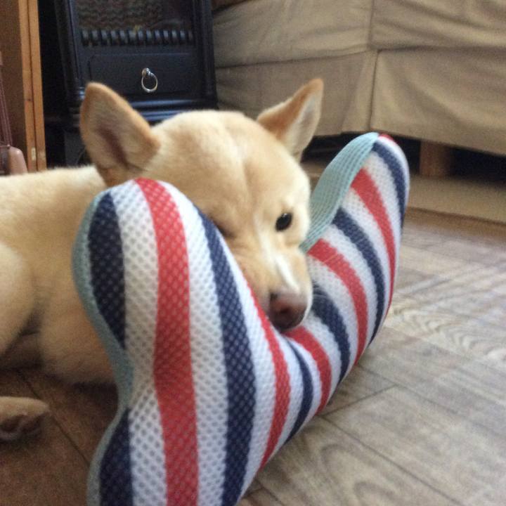 34326ade dd7a 492c 99d9 eb824ce6d0b8