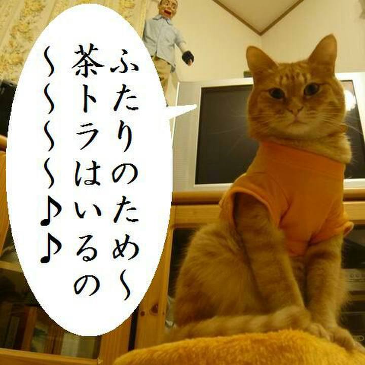 3432cb55 e804 474e a8a5 47cdb97b2031