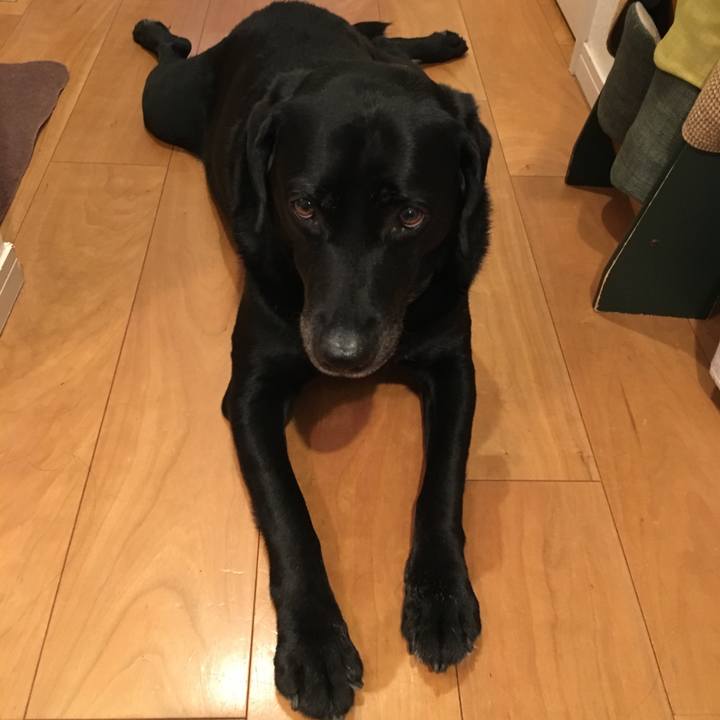 343397b3 77f5 4a8a 8788 eb15552376a5