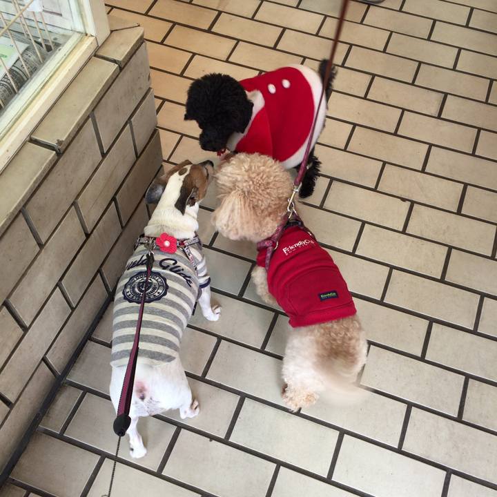 3433bca6 69ae 4060 998f 765cc85ad29e