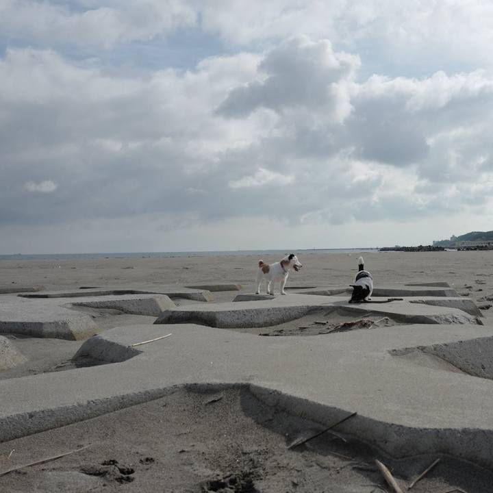 3433c20d 32fa 4db2 9aeb ff9ffe3babe9