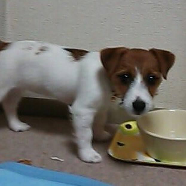 34340bf1 3bfe 45f5 93c3 14612083a15b