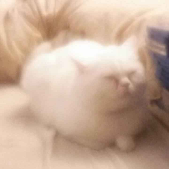 3434bec2 ff46 4403 8f5c bc3697db0315