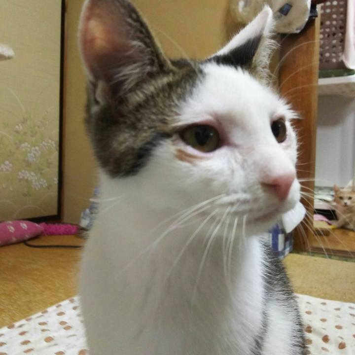 34355204 1904 4bc4 b927 6aa433f03b84