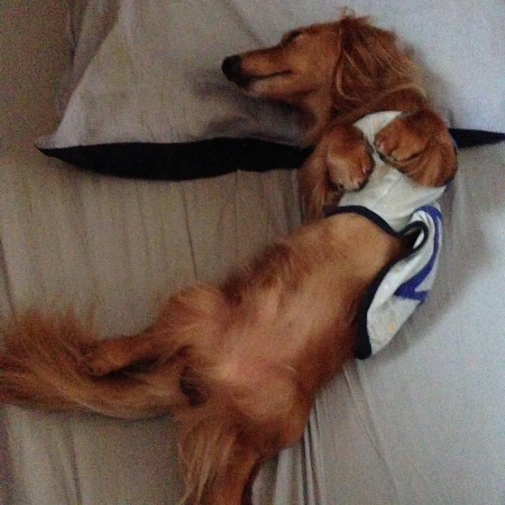 3435758d e496 4ded 96cf a5d62f79fc83