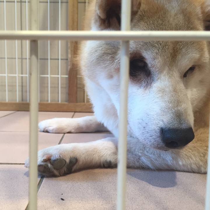 3435ff1d 82a7 4ab5 aafe 9f3864ed2a8c