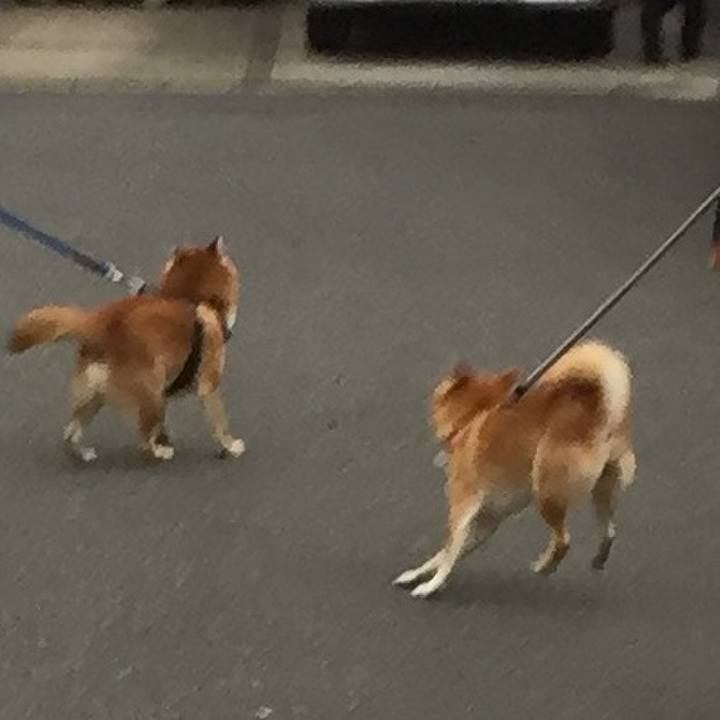 34363eae a907 41d5 9171 2583a7420c0a