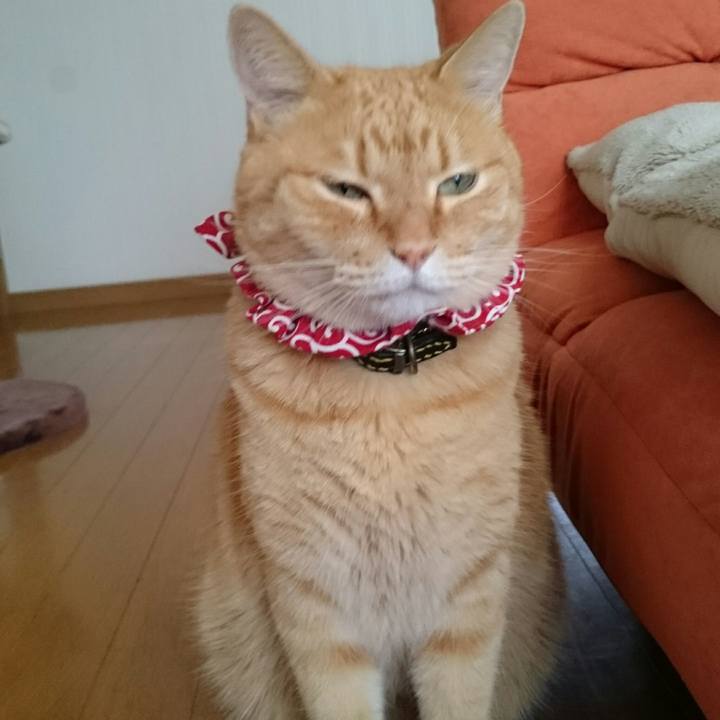 343701d1 66cb 45eb b066 df115be78faa