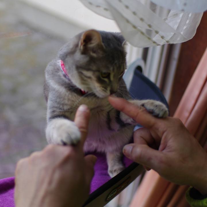 3437115c a8b9 4263 bd9b 8de7e2e754a5