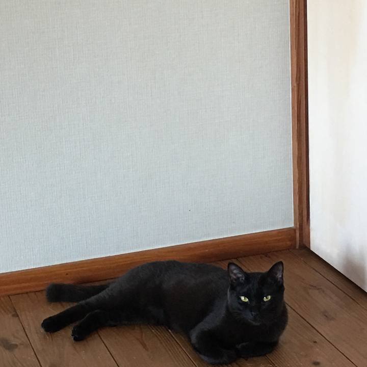 343711c6 0e77 4e18 8959 d1ac994775d7