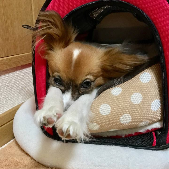 34371a73 b8cc 46d6 a495 0ecf41fbe8d3