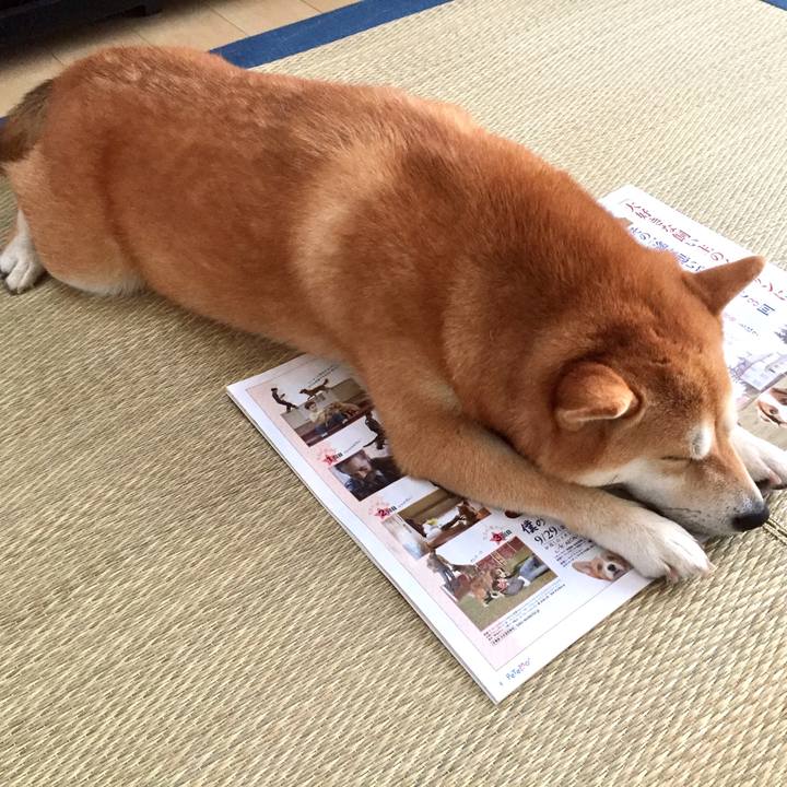 34377a4b 15e4 4dbf be36 5a725b2d72d7