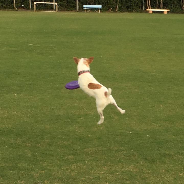 3437a66b 4ff5 4604 9c1c ac2cafe15f56