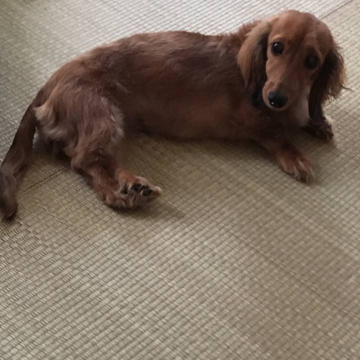 3437b544 92fc 4448 a969 e161740f93f2