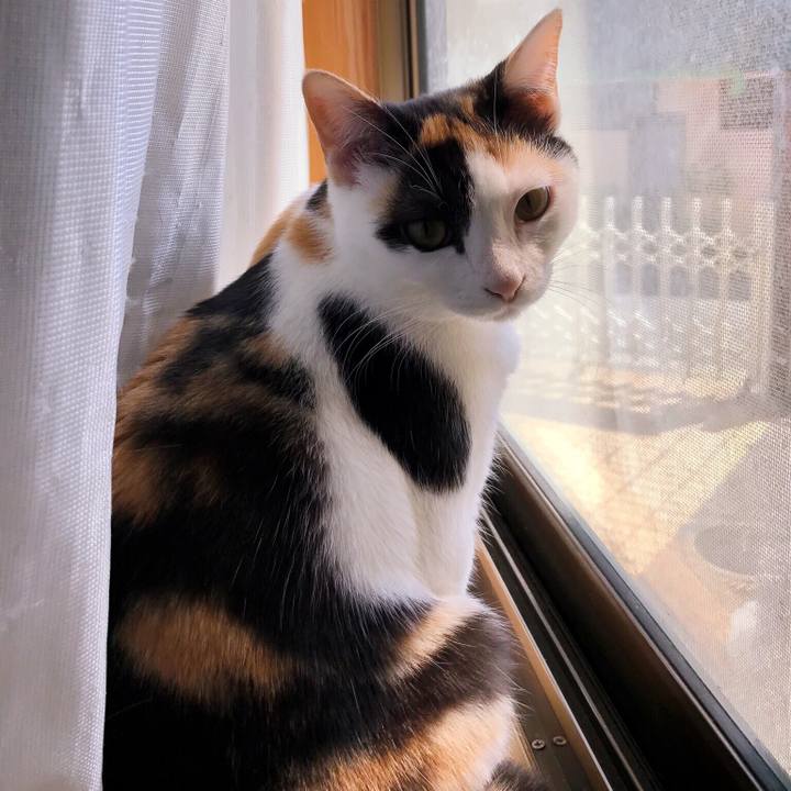 3437b9be cf5e 4f4a 9982 5815ac26201d