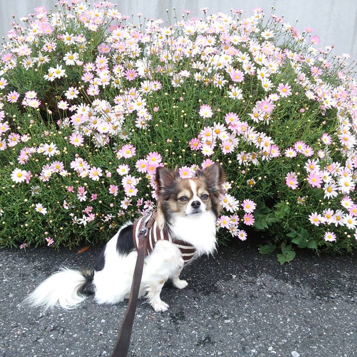 3437dd3a 663c 4fdf 8dbb 6ce282babd0f