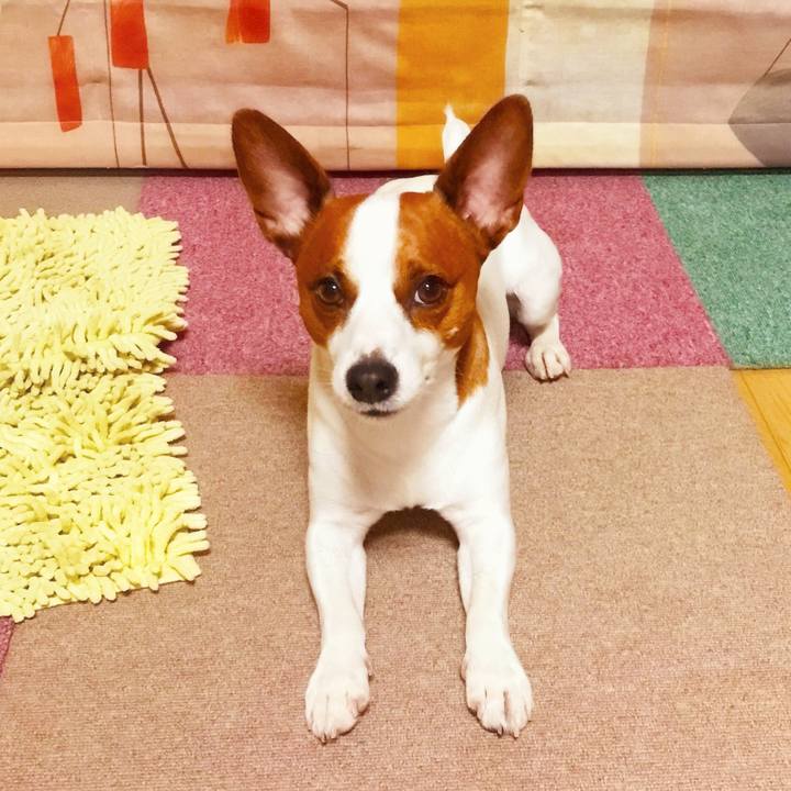 34385876 db38 4326 a0c0 eca6aa000f67