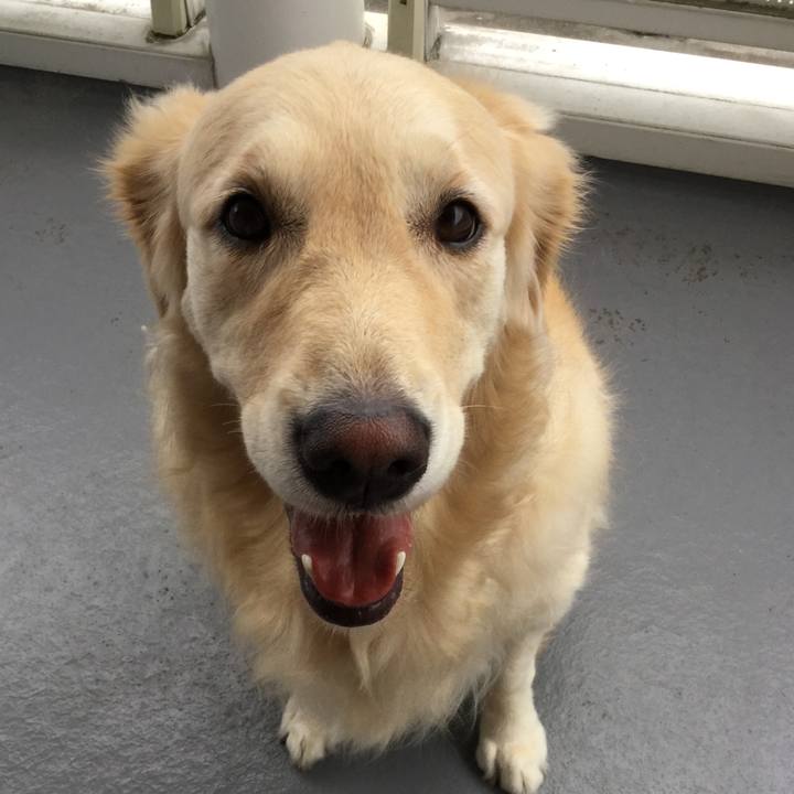 34385c2a 793c 4eee 9f87 57103fec7f80