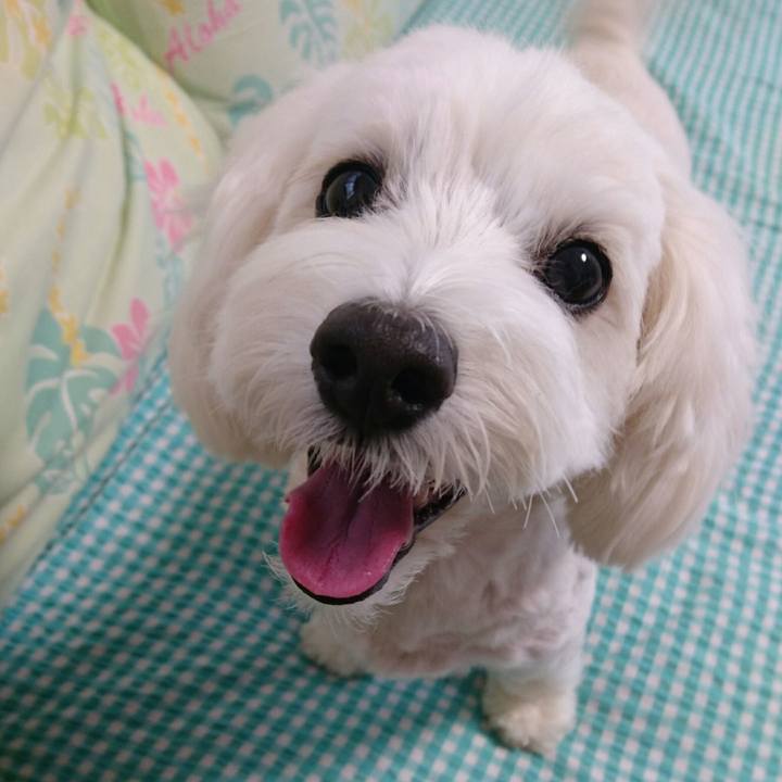 3438dbae 514e 4af2 b719 61cc2d5b540d