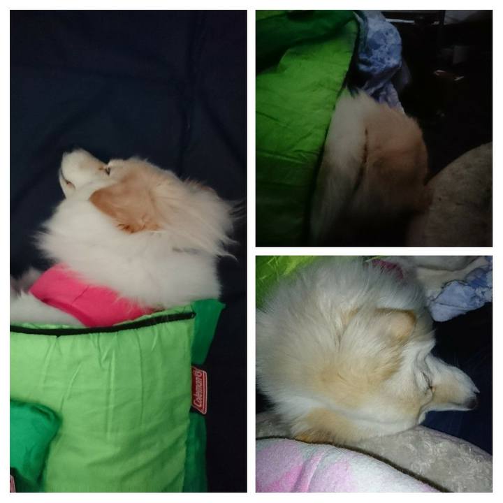 343920a8 65fb 4efb b8b4 6d43d4e5d05e