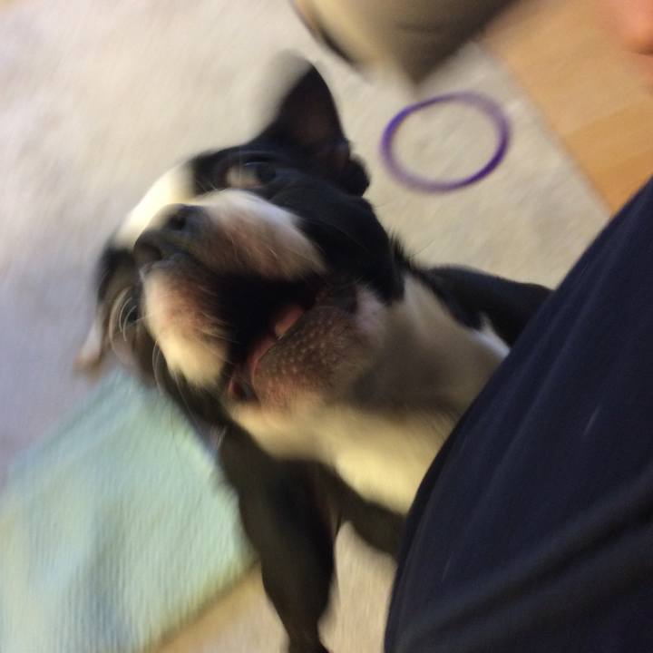 34395963 530d 4b38 b98f cb7ee7f9494a