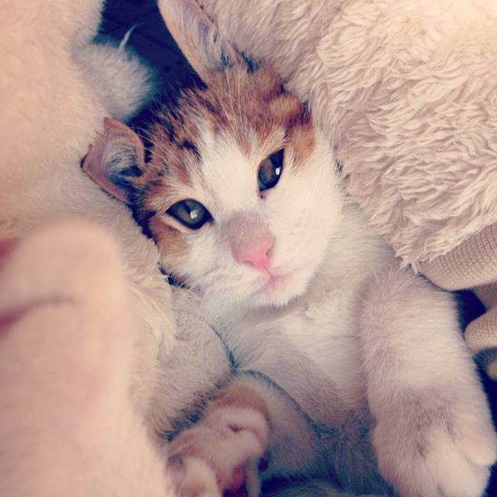 3439ec13 158e 46ad b92c 8b2fd903b71e