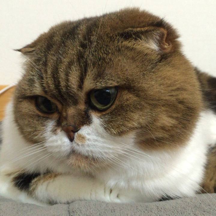 343a39ac 607f 44f2 a7ae 164c6edf049a