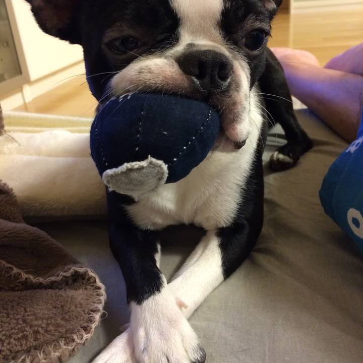 343a4417 e1c9 440a 8e47 ca897e5d4555