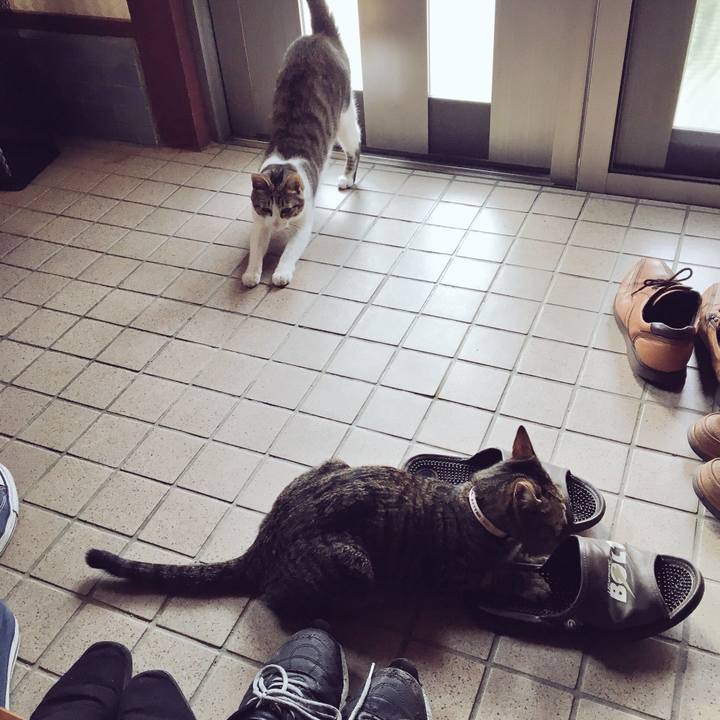 343a605a bb13 4183 8416 2d8da3568685