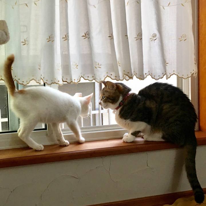 343a7e28 3726 4669 8b57 d49b9582560d