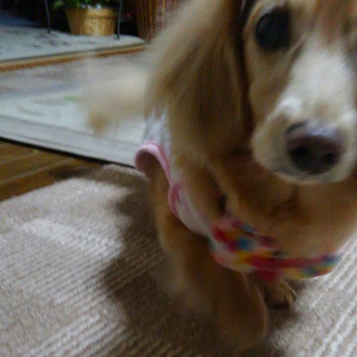 343b8381 20ec 4f02 90dd ae2eb37ddad3