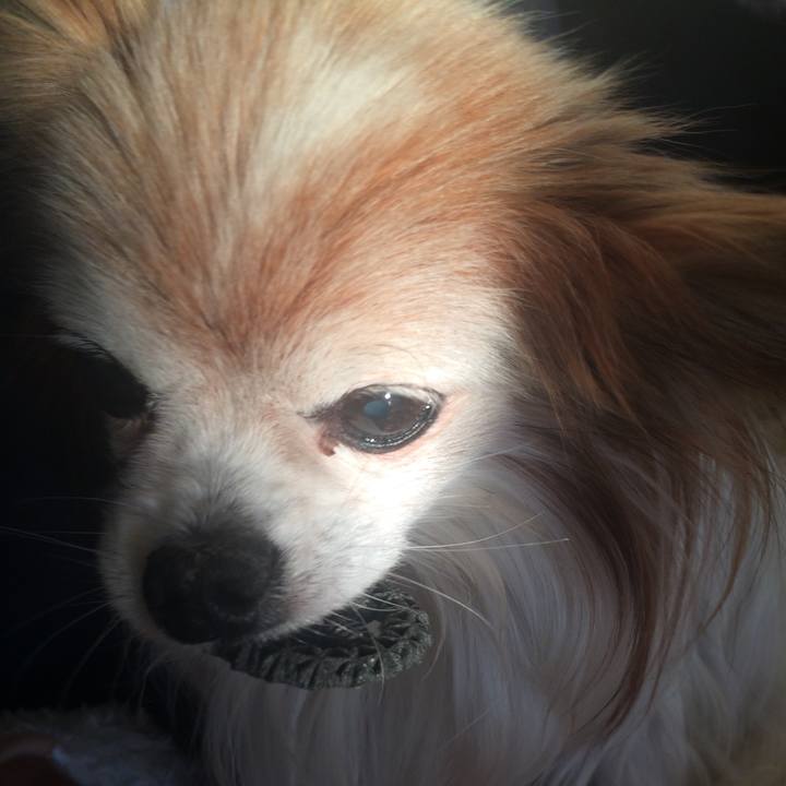 343c5681 cf04 4909 b0f5 264d7970f281