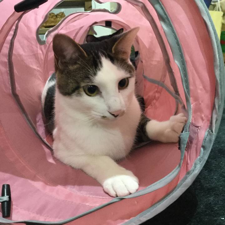 343d64f6 198b 4c5b 86eb 0326ab874576