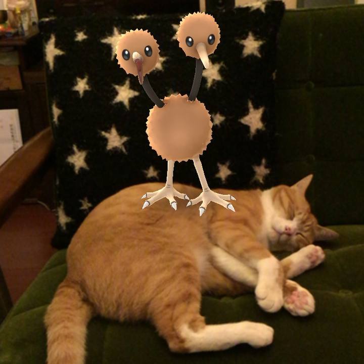 343dcaab aa95 4141 90b5 2b13e2bd3853