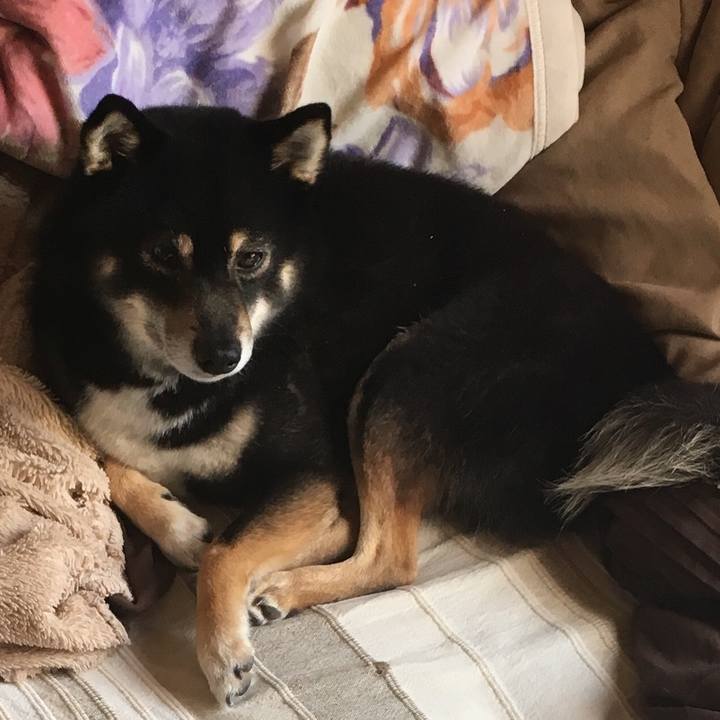 343dcdd5 b31c 4efc bedf 885a2db9a563