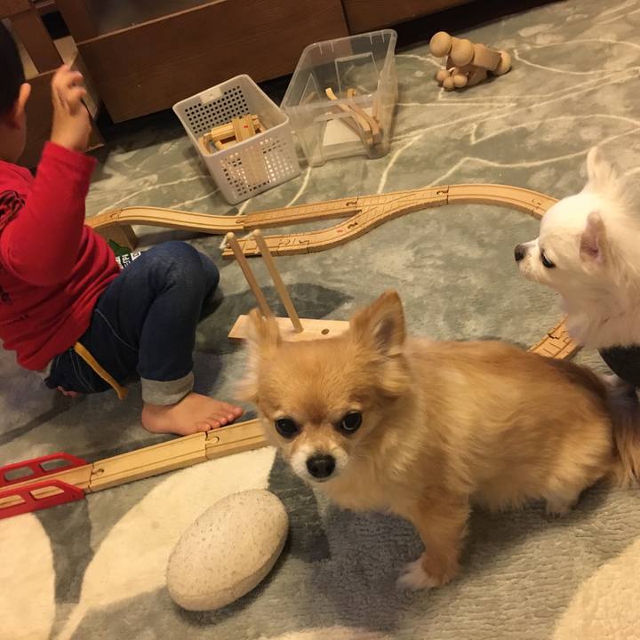 343e179a cb07 4855 bc31 49146e9e98ed