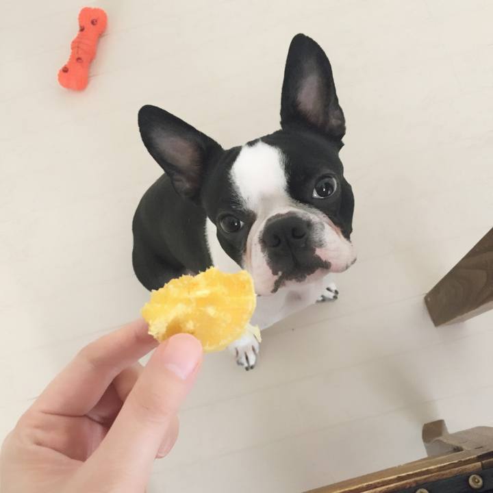 343e3a66 7179 47cb bfd2 7a6c99cb5dae