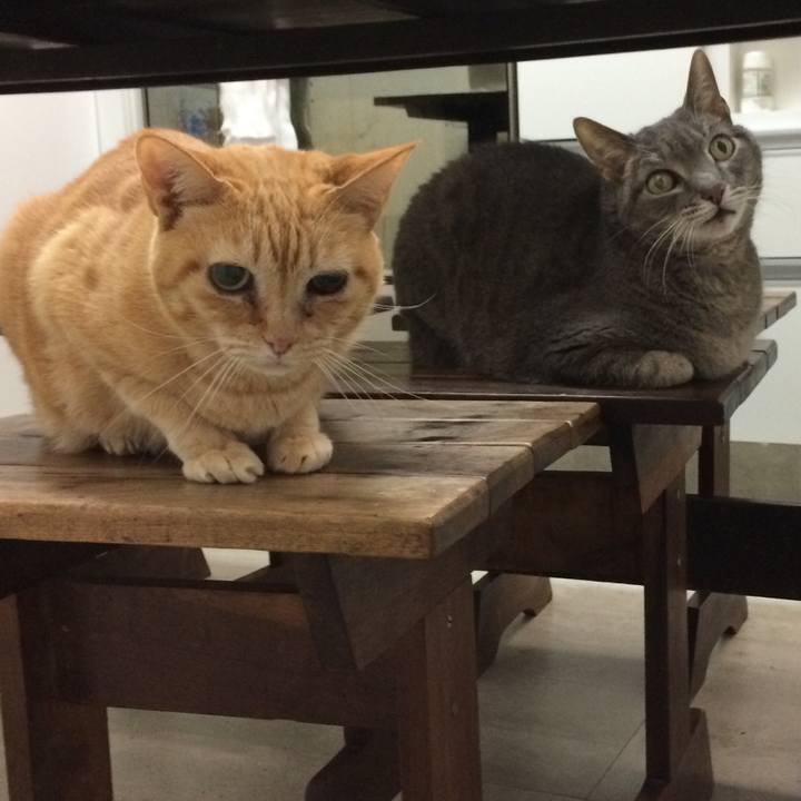 343e6a57 c328 4730 b676 70107e04ce64